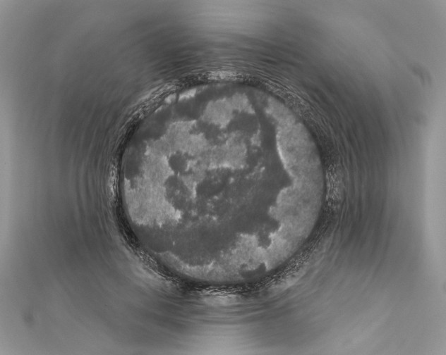 X0000111640648200908281158