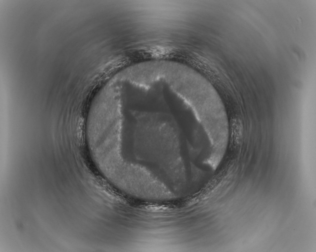 X0000111640650200908281158