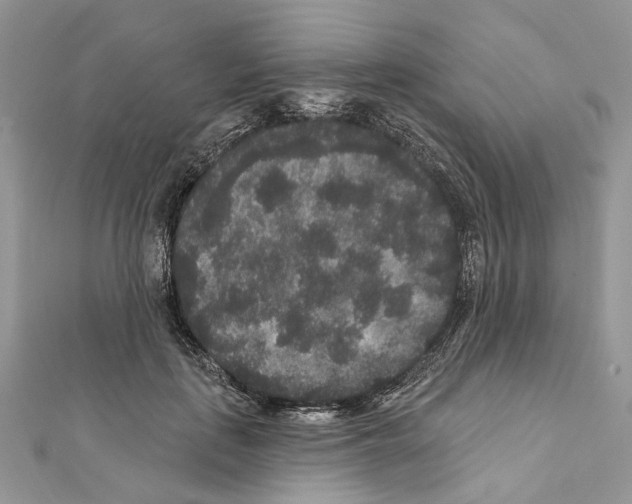 X0000111640651200908281158