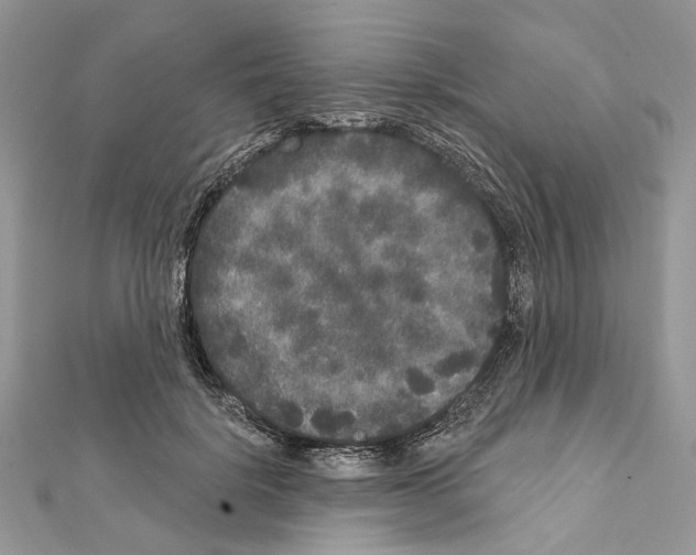 X0000111640652200908281158