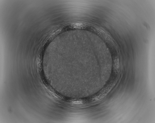 X0000111640653200908281158