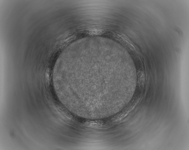 X0000111640655200908281158