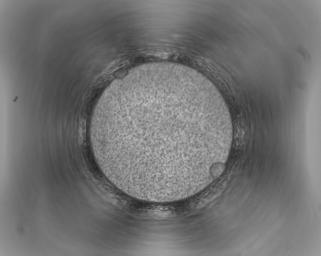 X0000111640656200908281158