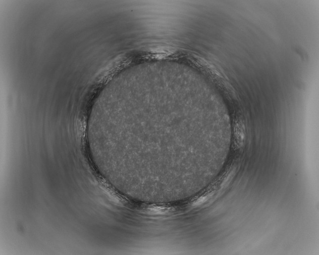 X0000111640657200908281158