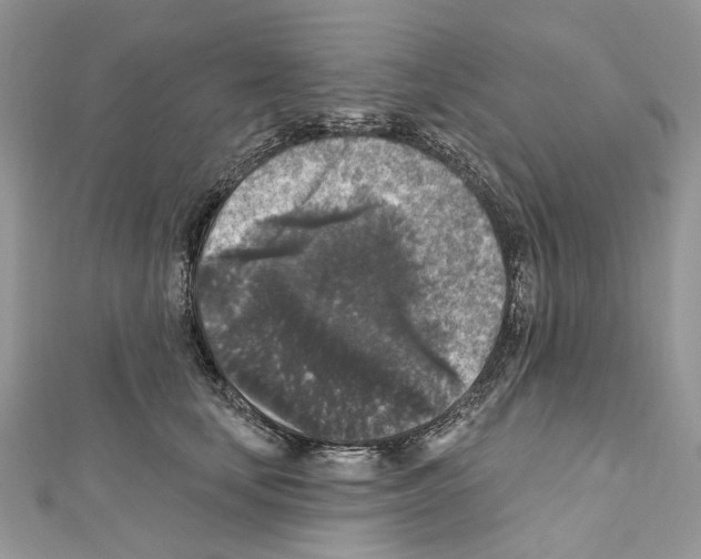 X0000111640659200908281158