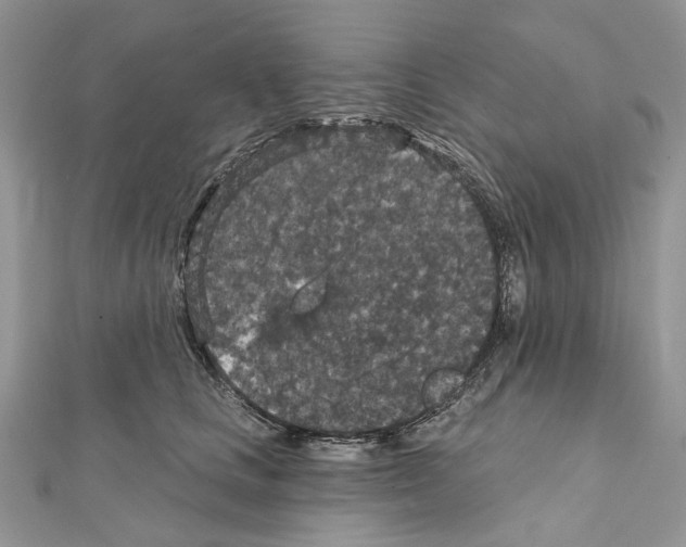 X0000111640661200908281158