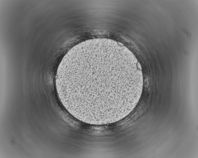 X0000111640662200908281158