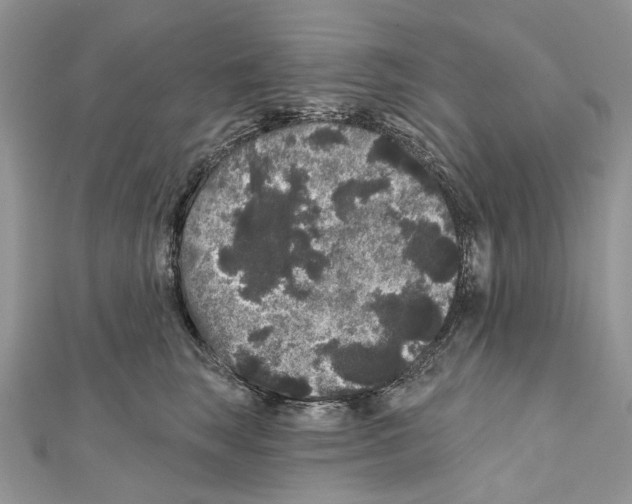 X0000111640663200908281158