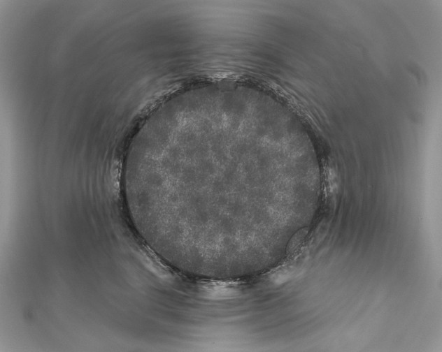X0000111640664200908281158