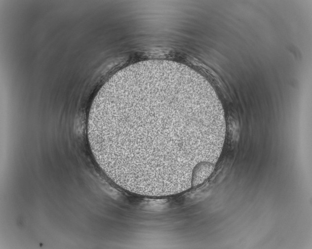 X0000111640665200908281158