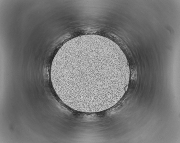 X0000111640666200908281158