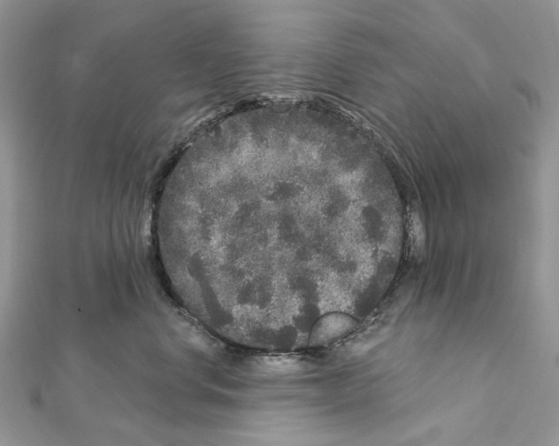 X0000111640668200908281158