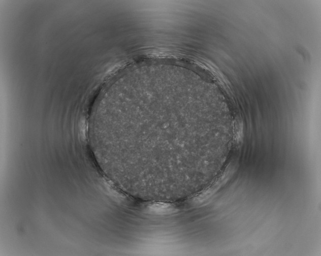 X0000111640669200908281158