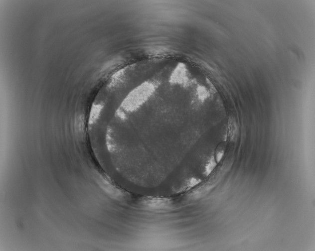 X0000111640670200908281158