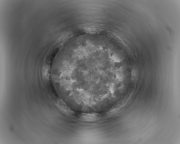 X0000111640671200908281158