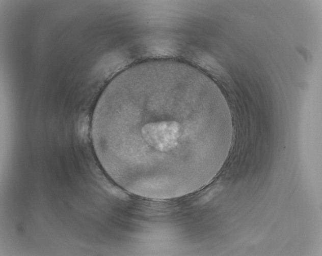 X0000111640672200908281158