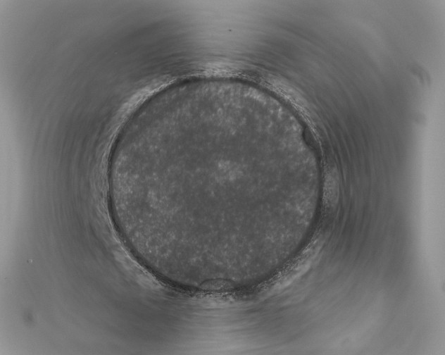X0000111640673200908281158