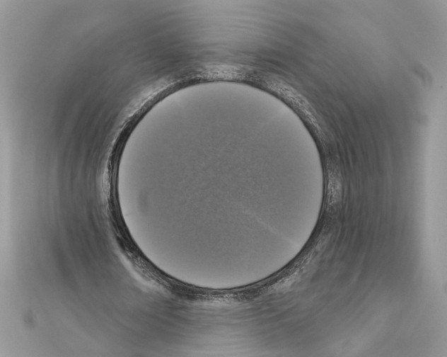 X0000111640674200908281158