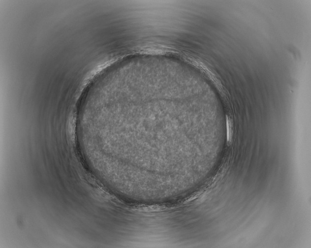 X0000111640675200908281158