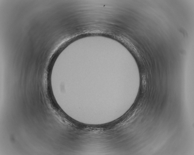 X0000111640676200908281158