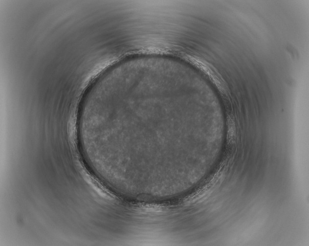 X0000111640677200908281158
