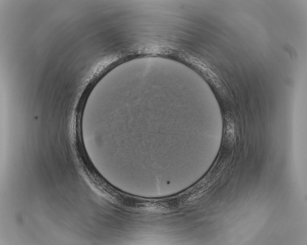 X0000111640678200908281158