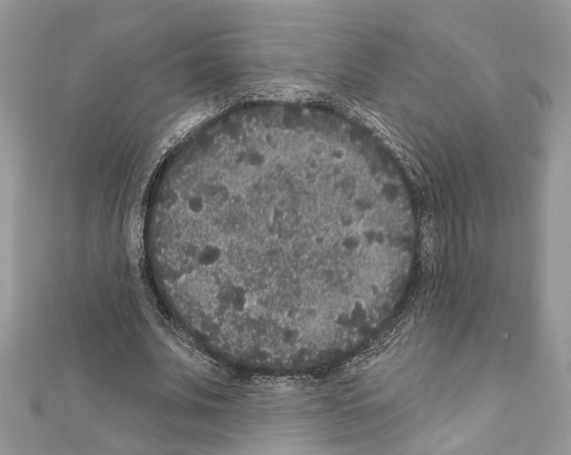 X0000111640679200908281158