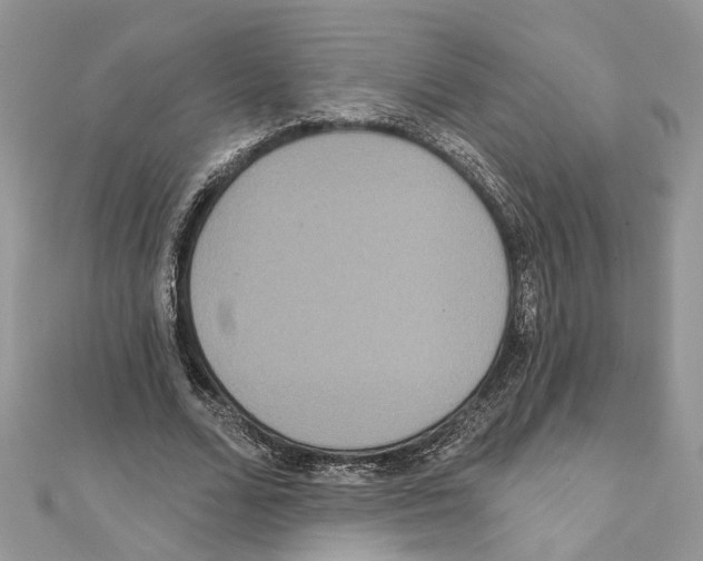 X0000111640680200908281158