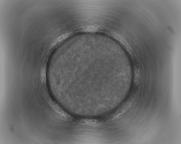 X0000111640681200908281158