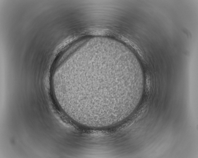 X0000111640682200908281158