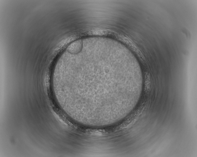 X0000111640683200908281158