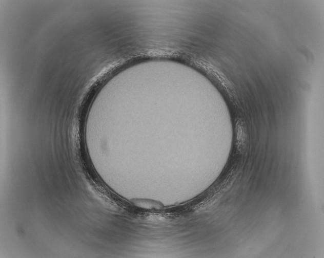 X0000111640684200908281157