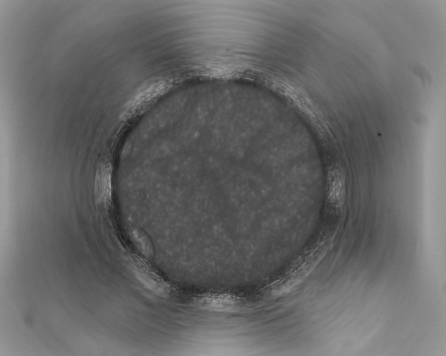 X0000111640685200908281157