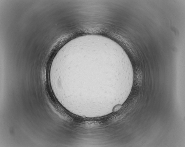 X0000111640686200908281157