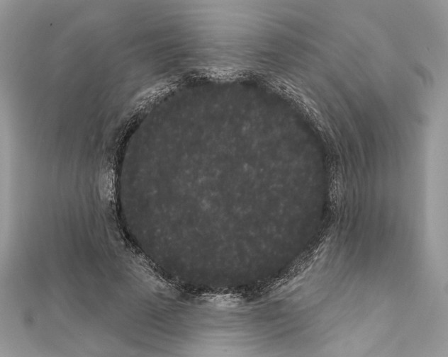 X0000111640689200908281157