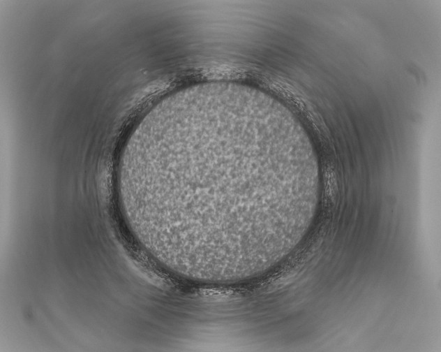 X0000111640690200908281157
