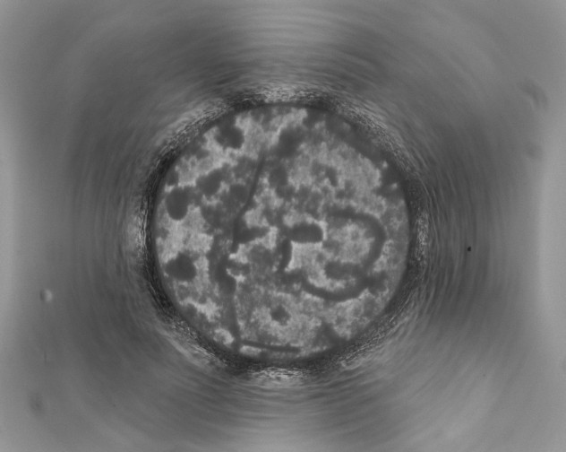 X0000111640691200908281157