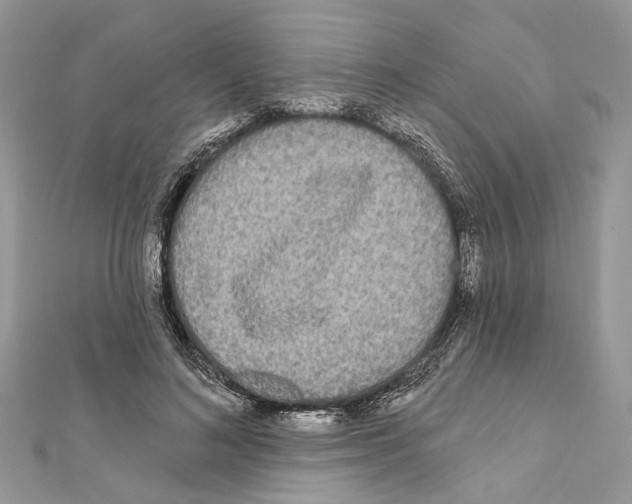 X0000111640692200908281157