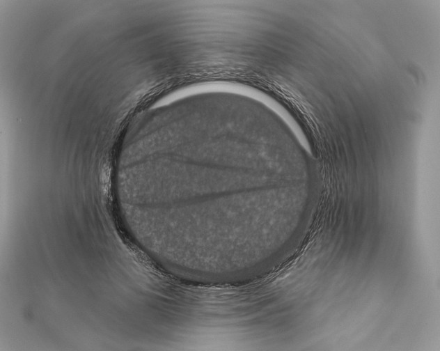 X0000111640693200908281157