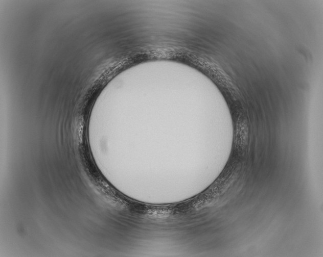 X0000111640694200908281157
