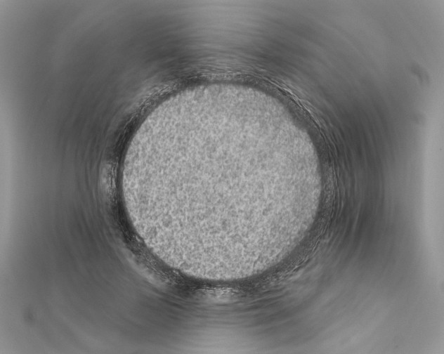 X0000111640695200908281157