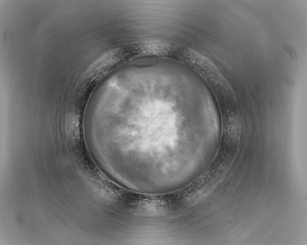 X0000111640696200908281157