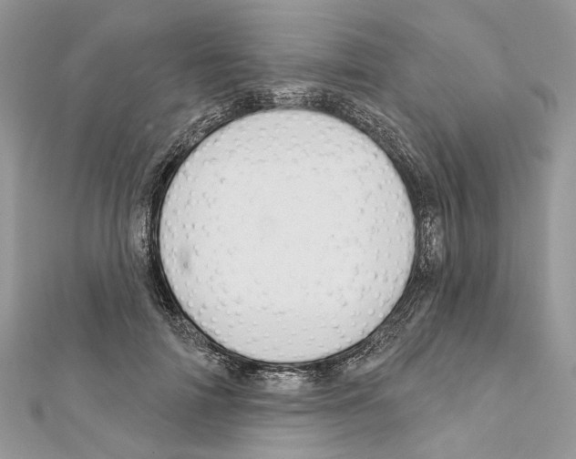 X0000111640698200908281157