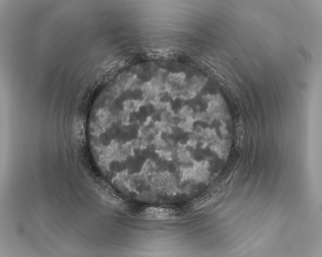 X0000111640699200908281157