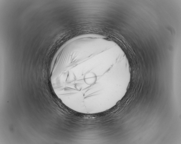 X0000111640701200908281157