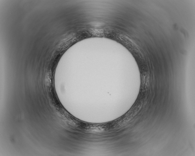 X0000111640702200908281157