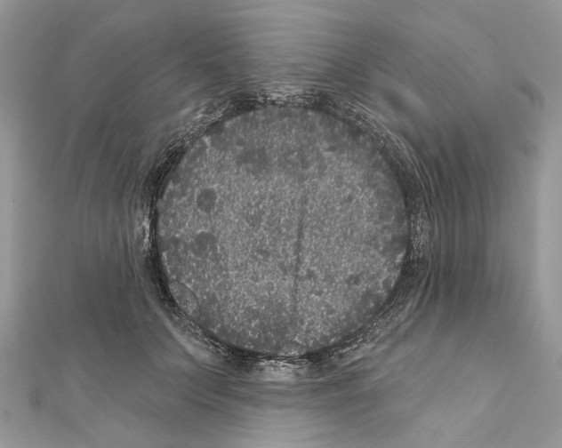 X0000111640703200908281157