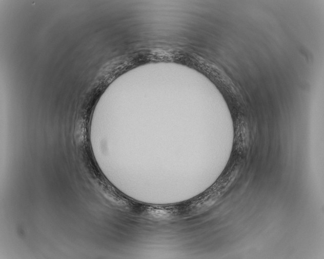 X0000111640706200908281157