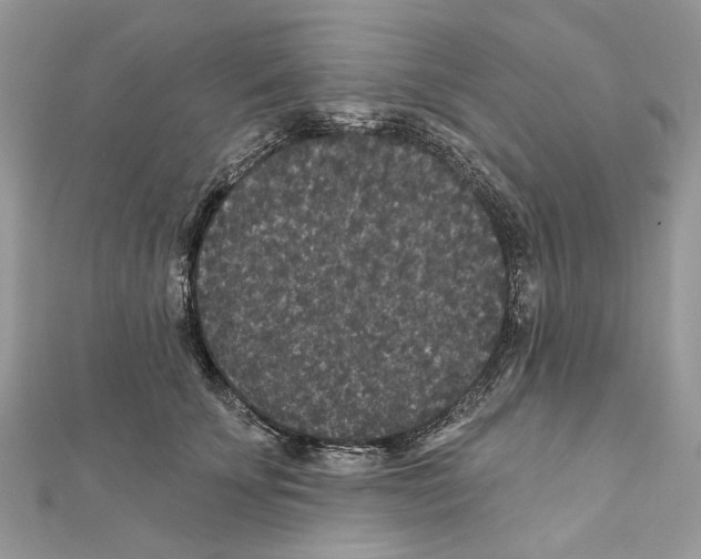 X0000111640707200908281157