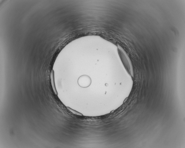 X0000111640708200908281157